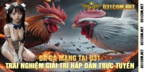 Đá Gà Mạng Tại U31 Trải Nghiệm Giải Trí Hấp Dẫn Trực Tuyến